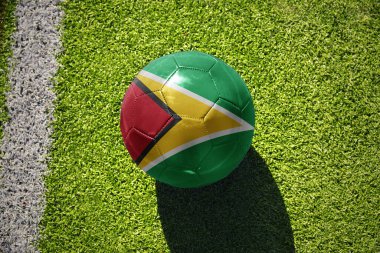 Beyaz çizginin yanındaki yeşil alanda milli guyana bayrağı taşıyan futbol topu.