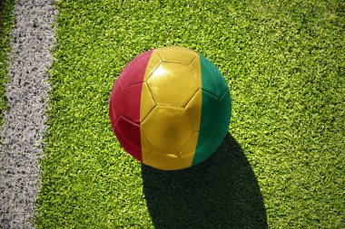 Gine 'nin ulusal bayrağını taşıyan futbol topu beyaz çizginin yanındaki yeşil alanda