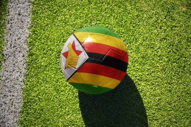 Beyaz çizginin yanındaki yeşil sahada ulusal Zimbabwe bayrağı taşıyan futbol topu.