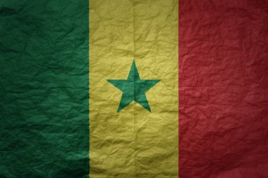 Senegal 'in rengarenk bayrağı eski kağıt desen arka planında