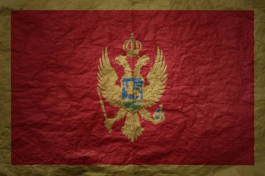 Grunge eski kağıt dokusu arka planında Mongro 'nun renkli büyük ulusal bayrağı