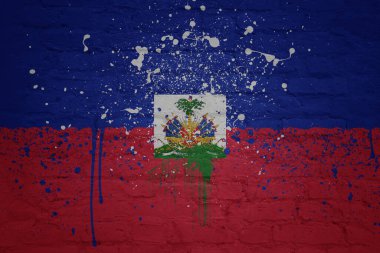 Haiti 'nin büyük ulusal bayrağını kocaman bir tuğla duvara boyamış.