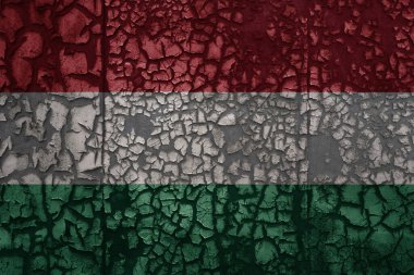 Eski bir grunge metal, paslı, kırık duvarlı arka planda Hungary bayrağı.