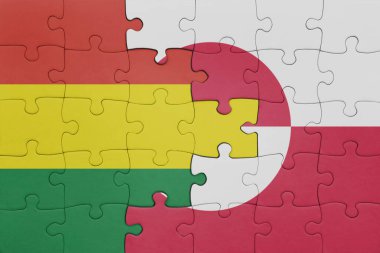 Bolivya bayrağının ve yeşilliğin renkli ulusal bayrağının bulmacası. konsept