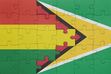 Guyana 'nın renkli ulusal bayrağı ve Bolivya bayrağının bulmacası. konsept
