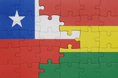 Bolivya 'nın renkli ulusal bayrağı ve Arjantin bayrağı. konsept