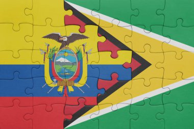 Guyana 'nın renkli ulusal bayrağı ve Ekvador bayrağı ile bulmaca. konsept