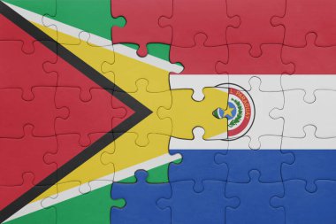 Paraguay ve Guyana bayrağının renkli ulusal bayrağıyla bulmaca. konsept