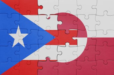 Yeşil arazinin renkli ulusal bayrağı ve Porto Riko bayrağının bulmacası. konsept