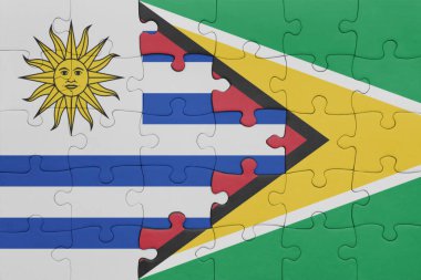 Guyana 'nın renkli ulusal bayrağı ve Uruguay bayrağı ile bulmaca. konsept