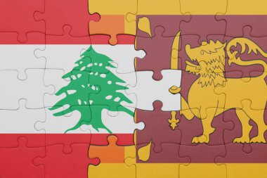 Lübnan 'ın renkli ulusal bayrağı ve Sri Lanka bayrağı. konsept