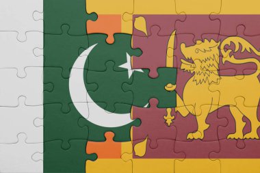 Sri Lanka 'nın renkli ulusal bayrağı ve Pakistan bayrağı. konsept