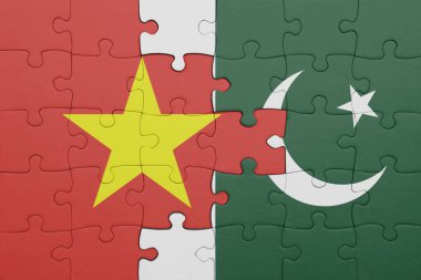 Vietnam 'ın renkli ulusal bayrağı ve Pakistan bayrağı ile bulmaca. konsept