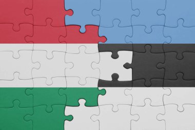 Estonya 'nın renkli ulusal bayrağı ve Hungary bayrağı ile bulmaca. konsept