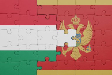 Moğol bayrağı ve Hungary bayrağının renkli ulusal bayrağıyla bulmaca. konsept