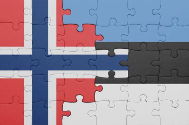 Renkli ulusal Estonya bayrağı ve Norveç bayrağı bulmacası. konsept