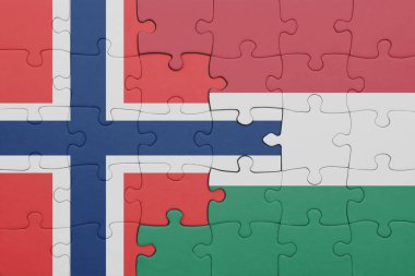 Norveç bayrağının rengarenk bayrağıyla bulmaca. konsept