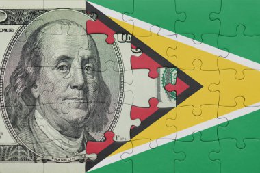 Guyana 'nın renkli ulusal bayrağı ve Amerikan doları para .finans kavramının bulmacası