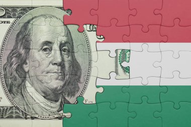 Hungary 'nin renkli ulusal bayrağı ve Amerikan doları para kavramının bulmacası.