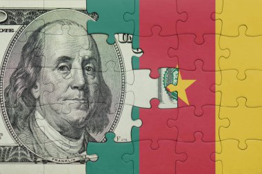 Kamerun 'un renkli ulusal bayrağı ve Amerikan doları para kavramının bulmacası.