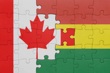 Bolivya 'nın renkli ulusal bayrağı ve Kanada bayrağının bulmacası. konsept