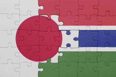 Gambiya 'nın renkli ulusal bayrağı ve Japon bayrağı ile bulmaca. konsept