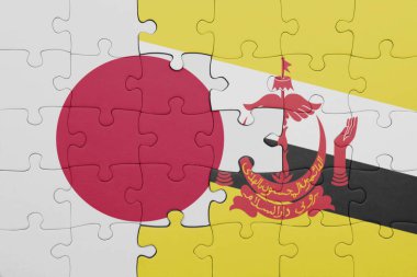 Renkli ulusal esmer bayrağı ve Japon bayrağı bulmacası. konsept