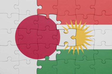 Kürdistan 'ın renkli ulusal bayrağı ve Japon bayrağının bulmacası. konsept