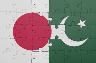 Pakistan 'ın renkli ulusal bayrağı ve Japon bayrağı ile bulmaca. konsept