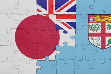 Fiji 'nin renkli ulusal bayrağı ve Japon bayrağı ile bulmaca. konsept