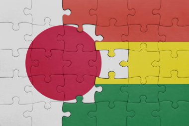 Bolivya 'nın renkli ulusal bayrağı ve Japon bayrağı ile bulmaca. konsept