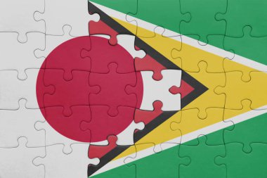 Guyana 'nın renkli ulusal bayrağı ve Japon bayrağı ile bulmaca. konsept