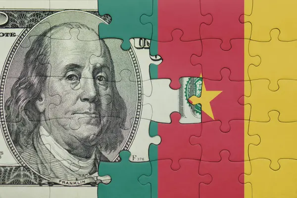 Kamerun 'un renkli ulusal bayrağı ve Amerikan doları para kavramının bulmacası.