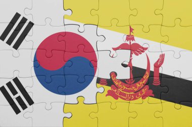 Renkli ulusal esmer bayrağı ve Güney Kore bayrağıyla ilgili bulmacalar. konsept
