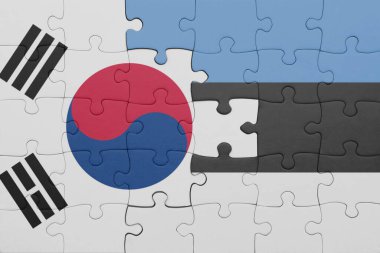 Estonya 'nın renkli ulusal bayrağı ve Güney Kore bayrağıyla ilgili bulmacalar. konsept