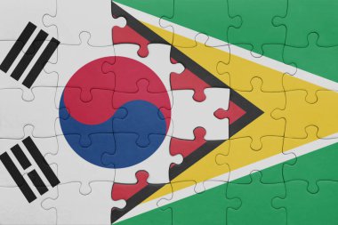 Guyana 'nın renkli ulusal bayrağı ve Güney Kore bayrağının bulmacası. konsept
