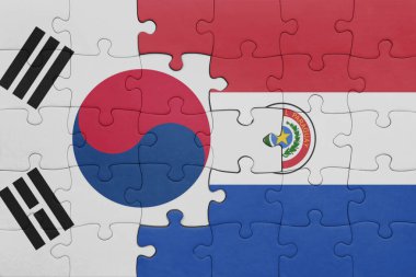 Paraguay 'ın renkli ulusal bayrağı ve Güney Kore bayrağının bulmacası. konsept