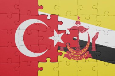 Renkli ulusal brunei bayrağı ve hindi bayrağı bulmacası. konsept