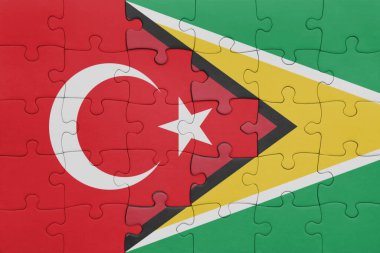 Guyana 'nın renkli ulusal bayrağı ve hindi bayraklı bulmaca. konsept