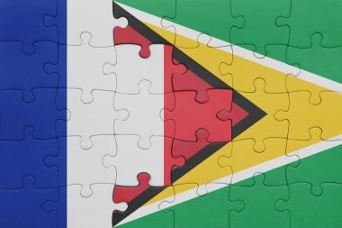 Guyana 'nın renkli ulusal bayrağı ve Fransa bayrağı ile bulmaca. konsept