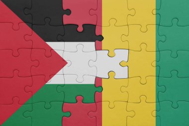 Gine ve Filistin bayrağının renkli ulusal bayrağıyla bulmaca. konsept