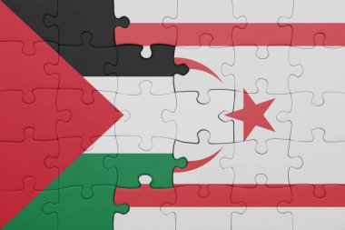 Kuzey Kıbrıs 'ın renkli ulusal bayrağı ve Filistin bayrağının bulmacası. konsept