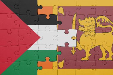 Sri Lanka 'nın renkli ulusal bayrağı ve Filistin bayrağı. konsept