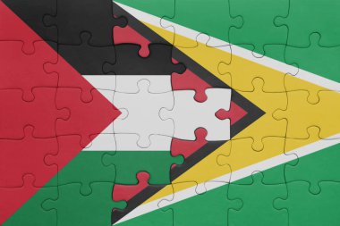Guyana 'nın renkli ulusal bayrağı ve Filistin bayrağının bulmacası. konsept