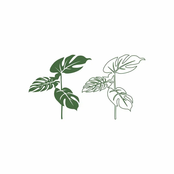 モンステラの葉のセット モンスターシートロゴのベクトルテンプレートのイラストのデザイン — ストックベクタ