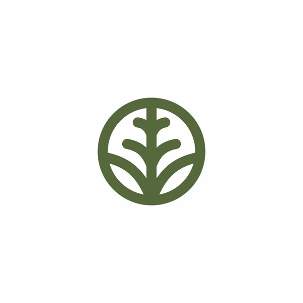 Дизайн Логотипа Pine Tree Икона Сосновой Линии — стоковый вектор