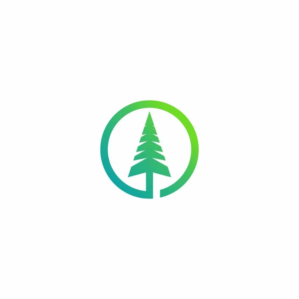 Kiefer Logo Vektor Tannenbaum Symbol Natur Logo — Stockvektor
