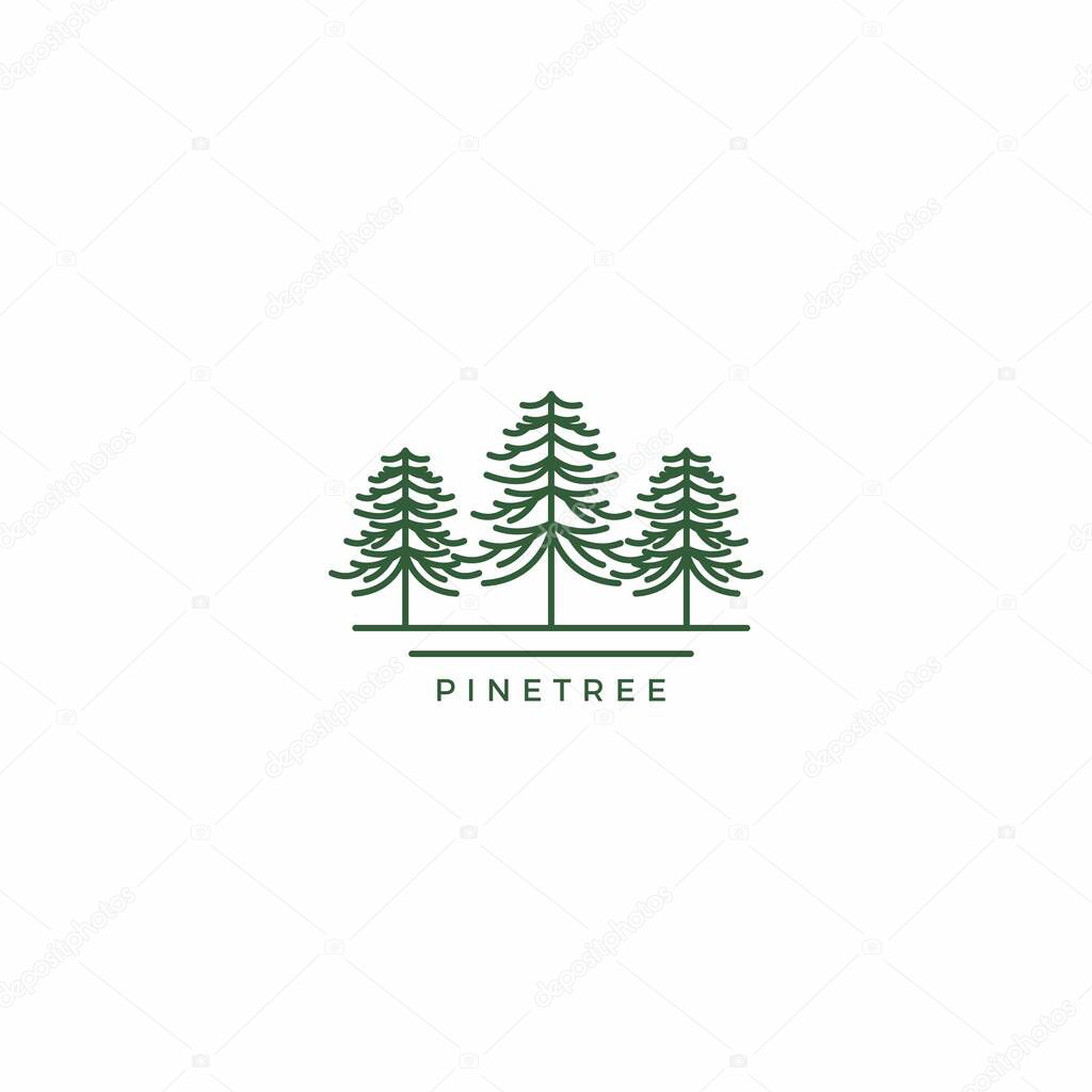 Pine Tree Logo vector Illustration. Pine Line Logo