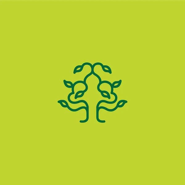Логотип Выращивания Дерева Дизайн Логотипа Листьев Икона Природы — стоковый вектор