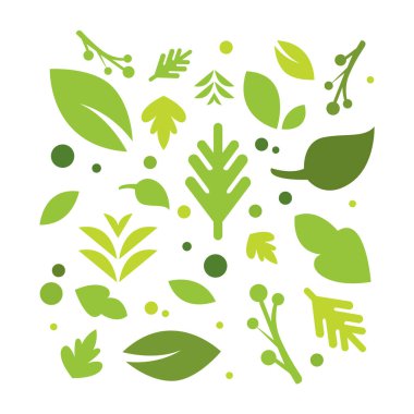 Doğa Yaprak vektörü ayarlandı. Basit ve taze tasarım